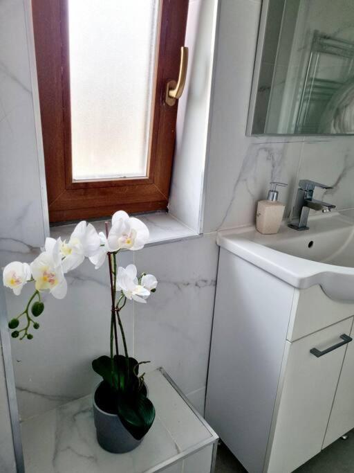 Cozy Apartment Near City Center Boekarest Buitenkant foto