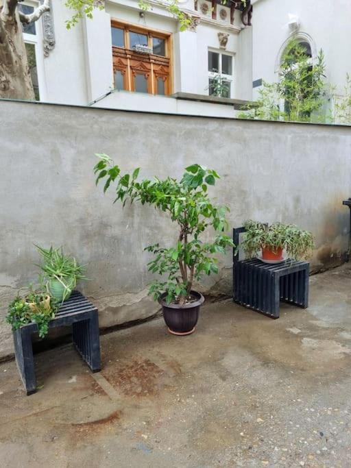 Cozy Apartment Near City Center Boekarest Buitenkant foto